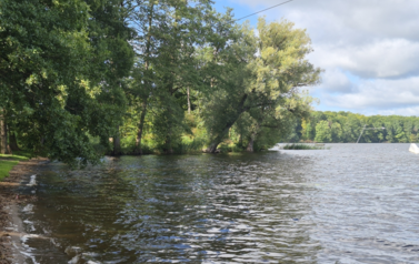 Tak dziś wygląda kopiec nad Trzesieckiem 