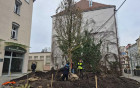 WhatsApp Image 2025-12-03 at 13.31.02