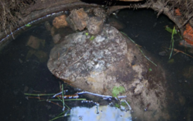 Resztki marmurowej kolumnt pomnika Roedera w kanale przy I LO