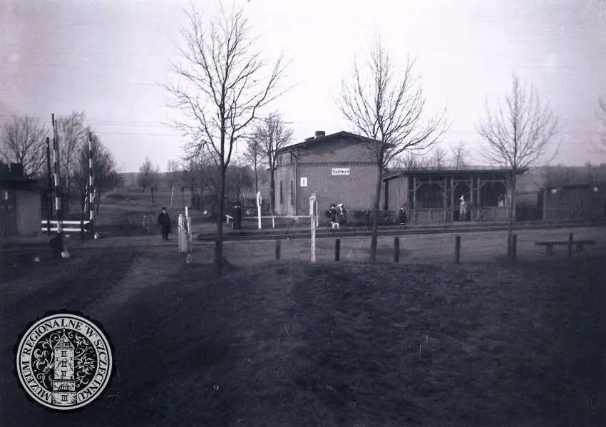 Zdjęcie do Czarnob&oacute;r, Polskie Sosny, Stadtwald. Od zawsze szczecinecki 
