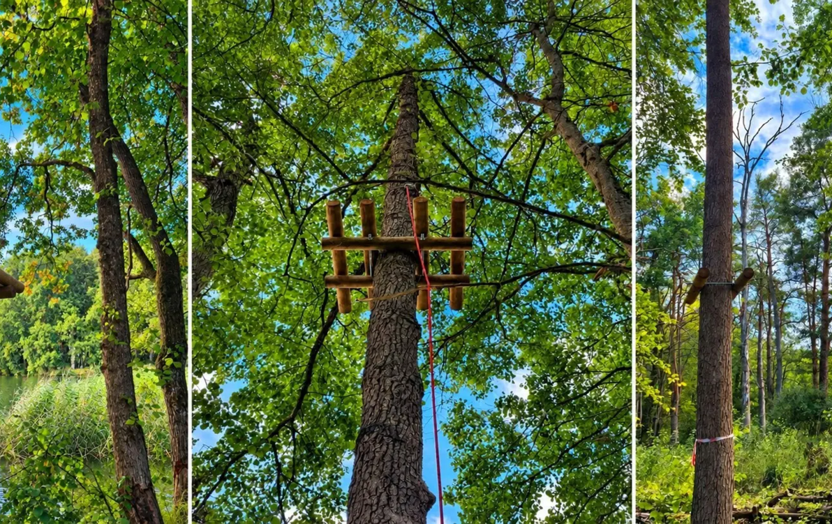 Zdjęcie do Park linowy - budowana jest tyrolka z Mysiej Wyspy na ląd 