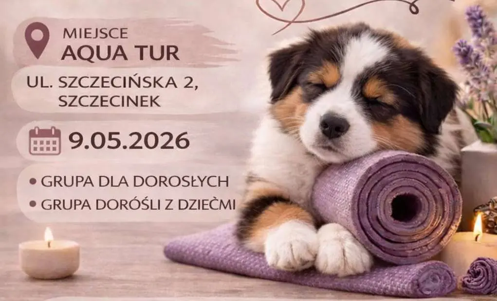 Zdjęcie do Nowość na szczecineckim basenie - puppy joga. Ogromne zainteresowanie