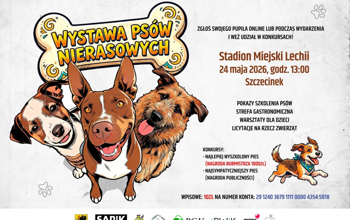 Zdjęcie do Wystawa ps&oacute;w nierasowych