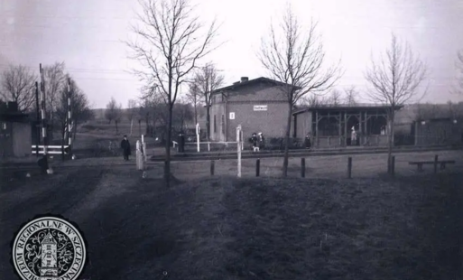 Czarnobór, Polskie Sosny, Stadtwald. Od zawsze szczecinecki 