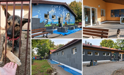 Zdjęcie do Cieplej i taniej - schronisko dla zwierząt przechodzi termomodernizację 