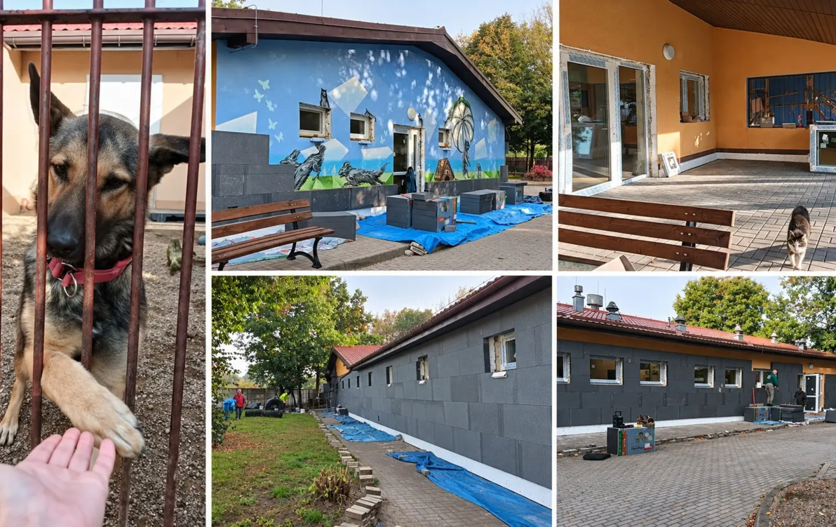 Zdjęcie do Cieplej i taniej - schronisko dla zwierząt przechodzi termomodernizację