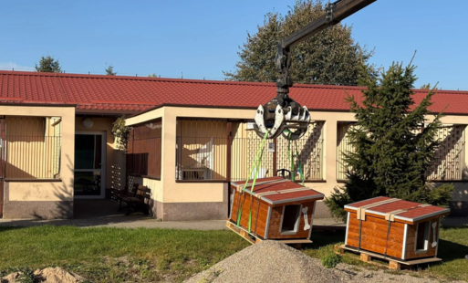 Zdjęcie do Nowe budy dla ps&oacute;w w szczecineckim schronisku. Pomoc od Kronospanu przed zimą
