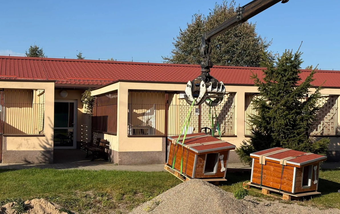 Zdjęcie do Nowe budy dla ps&oacute;w w szczecineckim schronisku. Pomoc od Kronospanu...