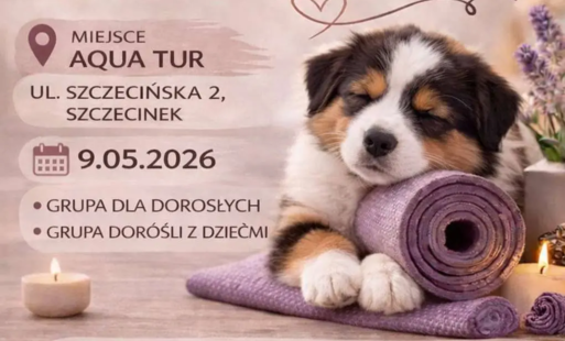 Zdjęcie do Nowość na szczecineckim basenie - puppy joga. Ogromne zainteresowanie