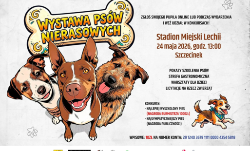 Zdjęcie do Wielkie święto wielorasowc&oacute;w. III Wystawa Ps&oacute;w Nierasowych w Szczecinku 