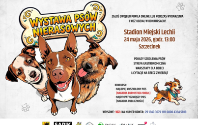 Zdjęcie do Wystawa ps&oacute;w nierasowych
