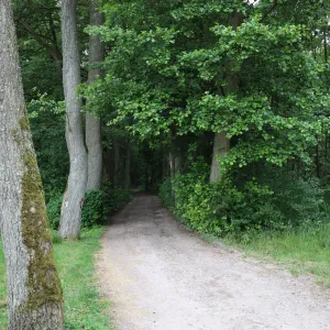 Dojazd na Mysią Wyspę 