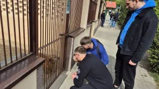 Liczymy, że akcja pomoże zwiększyć liczbę adopcji zwierzaków 