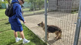 Liczymy, że akcja pomoże zwiększyć liczbę adopcji zwierzaków 