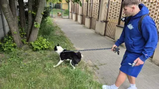 Na spacerze 
