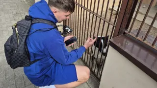 Liczymy, że akcja pomoże zwiększyć liczbę adopcji zwierzaków 